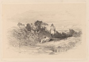 Herons by Karl Bodmer