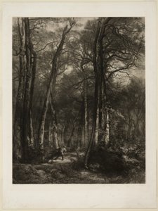 In the Forest