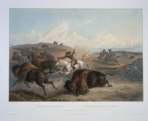 Indians Hunting the Bison