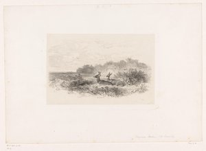 Landscape with Two White-Tailed Deer (Landscapes with Animals) by Karl Bodmer