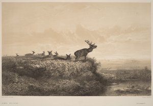 The Morning by Karl Bodmer