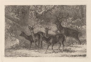 The Herd by Karl Bodmer
