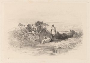 The Two Herons by Karl Bodmer