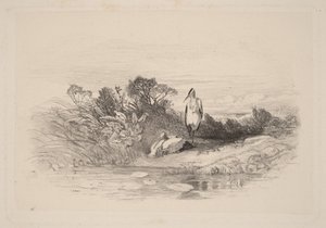 The Two Herons by Karl Bodmer