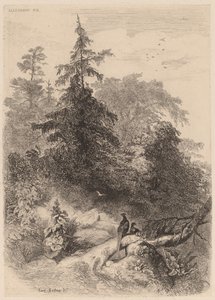 The Pheasants by Karl Bodmer
