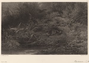 Fox on the Lookout by Karl Bodmer