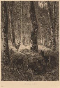 Return to the Fold by Karl Bodmer