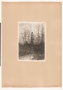 Forest Scene by Karl Buchholz
