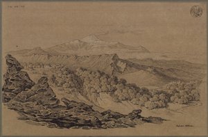 Drawn in the Forest Region of Etna