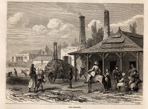 A Sugar Factory from the Riviere du Rempart in Mauritius by Karl Girardet