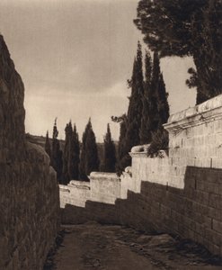 Jerusalem, Garden of Gethsemane