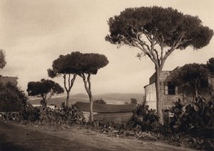 Lebanon, Landscape by Karl Grober