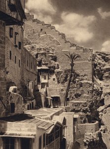 Mar Saba, Palm of St Sabas