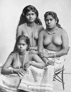 Three Tamil Girls of the Deccan by Karl Hagenbeck