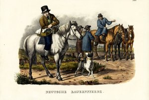 German Farm Horses by Karl Joseph Brodtmann