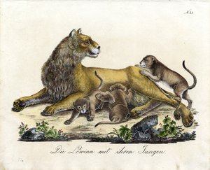 Lioness with Her Cubs by Karl Joseph Brodtmann