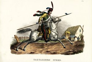 Tartarian Horse, 1824 by Karl Joseph Brodtmann