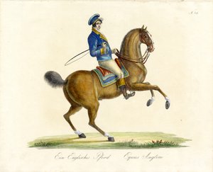The English Horse