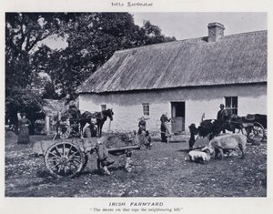 Irish Farmyard by Karl Karlovich Piratsky