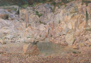 The Vulture in the Rock Formation