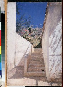 The garden staircase, Algeria