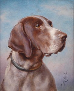 Dog Portrait by Karl Reichert