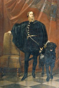 János Count Pálffy of Erdőd (1829–1908)