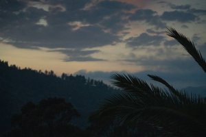 Dreaming, 2021 by Katha Wood