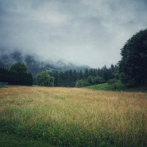 Misty Mountains, 2021