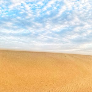 Surreal Desert Beach
