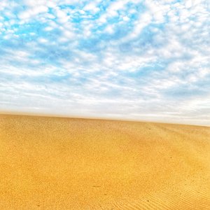 Surreal Desert Beach II