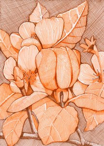 Hatched Orange Blossoms by Katie O'Shea