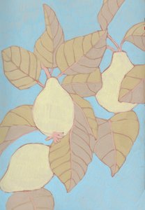 Pears on Blue Branch by Katie O'Shea