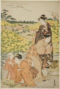 A Picnic Party