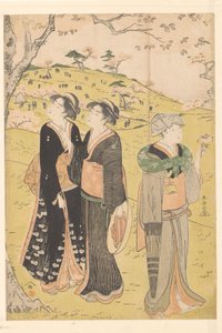 Admiring the Cherry Blossoms at Asukayama