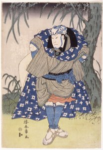 Sawamura Tosshō in the Role of Nan Yohei