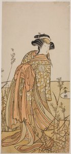 The Actor Segawa Kikunojo III as Spirit of a Mandarin Duck Disguised as Tagasode, in the Play Hana-zumo Genji Hiiki, Performed at the Nakamura Theater in the Eleventh Month, 1775