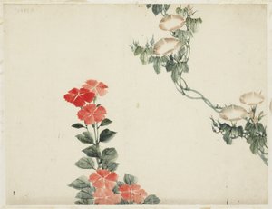 Morning Glory and Red Flowers by Katsushika (school of) Hokusai