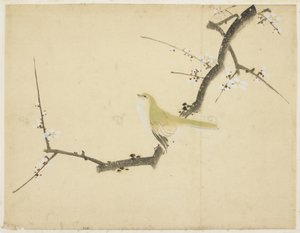 Nightingale on a Plum Branch by Katsushika (school of) Hokusai