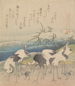 Ashi Clam, from the Series Genroku Kasen Kai-awase