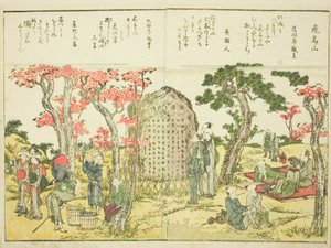 Asuka Hill, from vol. 1 of the illustrated book "Fine Views of the Eastern Capital at a Glance" by Katsushika Hokusai