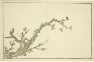 Blooming Plum Tree, from The Picture Book of Realistic Paintings of Hokusai by Katsushika Hokusai