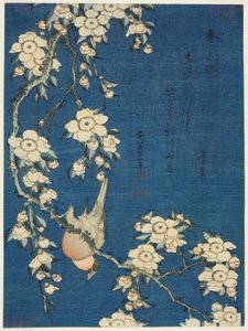 Bullfinch and Weeping Cherry, from an untitled series of flowers and birds