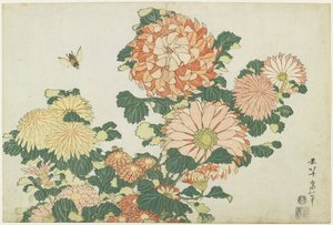 Chrysanthemums and Horsefly, c. 1832