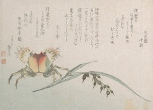 Crab and Rice Plant, 19th century