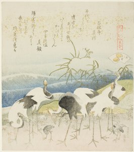Cranes by the Shore, illustration for The Leg Shell (Ashigai), from the series 