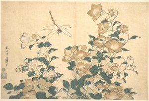 Dragonfly and Bellflower by Katsushika Hokusai
