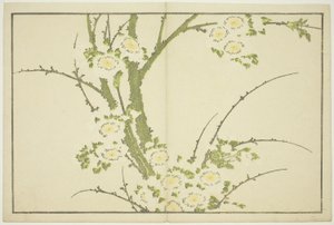 Flowers, from The Picture Book of Realistic Paintings of Hokusai by Katsushika Hokusai