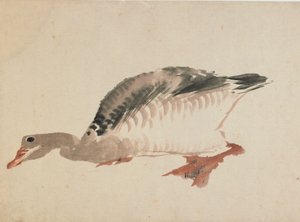 Goose, late 18th-early 19th century