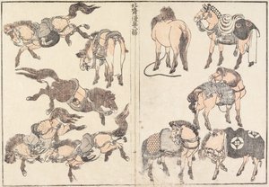 Horses